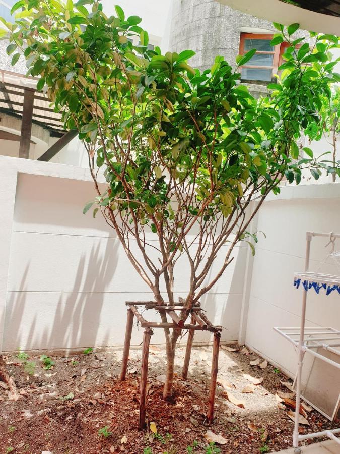 Kru Nat'S Bed & Breakfast W/ Private Rooms & Gym Bangkok Exterior foto